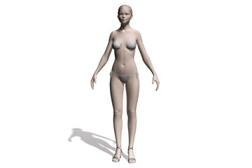 3d human model. Pictures of Human Reference For 3d Modeling. Man and woman anatomy reference 3d model. The human body isolated on white background. Human anatomy graphic drawing