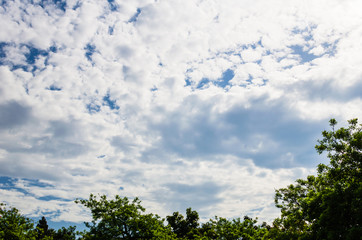 White clouds in a bright blue sky. The beauty of the nature