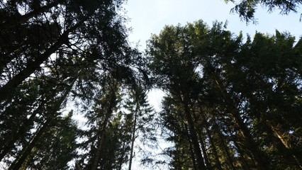 2020-03-15 Harz Nationalpark