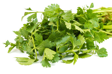 Close up view of bunch of fresh green parsley on white background