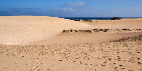 Naklejka premium Dunas de arena desérticas en Corralejo, Fuerteventura