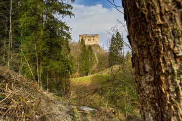 Fototapeta na wymiar Ruine Gilgenberg bei Zullwil SO
