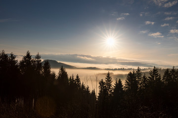 Fototapeta na wymiar Sonnenaufgang mit Nebel im Sauerland