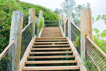 Wooden Stairs 