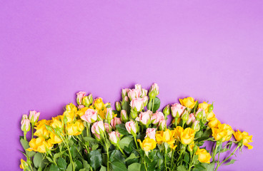 Fototapeta premium Happy mother's day with yellow pink roses flowers on purple table background top view with free space copy space