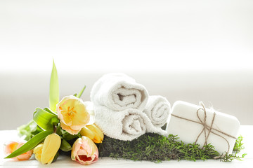 Spring Spa composition on a light background.
