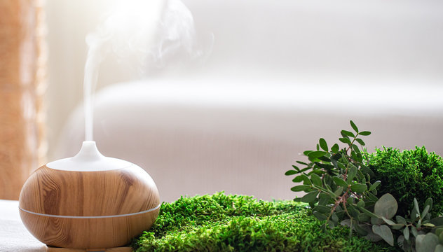 Modern Aromatic oil diffuser with fresh herbs .