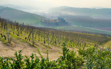 the vineyards of the Langhe