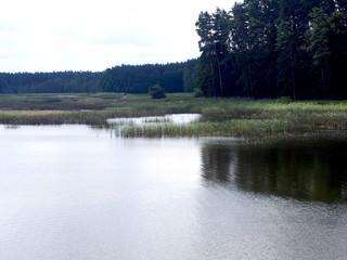 nature reserve in the town of Zwierzyniec in the eastern part of Poland.