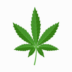 Cannabis leaf icon in flat design isolated on white background. Industrial hemp leaf logo concept.