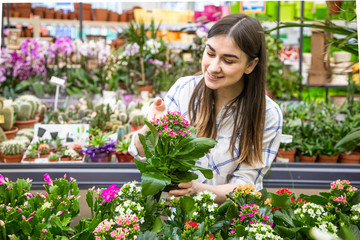 Fototapeta na wymiar Beautiful young woman in a flower shop and choosing flowers.