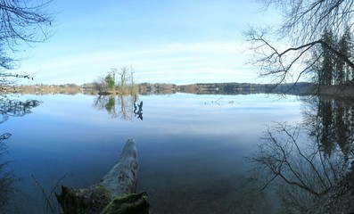 Ufer-Panorama Seehamer See