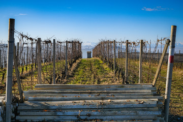 the panorama of Langhe