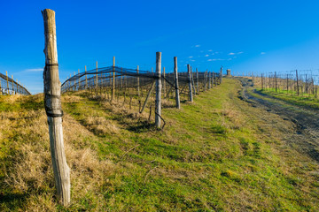The panorama of Langhe