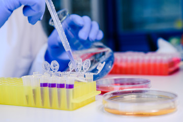 Scientist working with a pipette and a flask, in plastic tubes for DNA studies. Concept of science, laboratory and study of diseases.