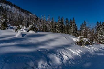 Winter in rocky mountains