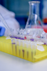 Scientist working with a pipette and a flask, in plastic tubes for DNA studies. Concept of science, laboratory and study of diseases.