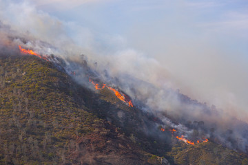 Dramatic wildfire with gale force winds on Lion's Head Mountain, Cape Town.