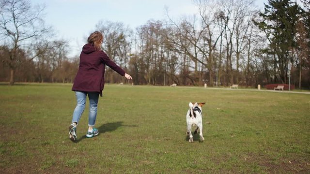 Lovely young girl is playing and running with her dog in a park. Walk with the pet, walk the dog