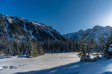 Fototapeta na wymiar landscape with trees and mountains in winter