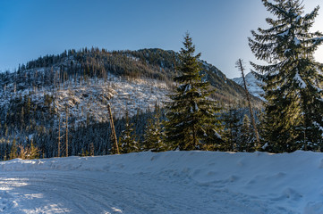 Winter in rocky mountains