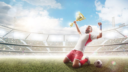 Winner. Professional soccer player celebrates winning of soccer match the open stadium. Soccer...