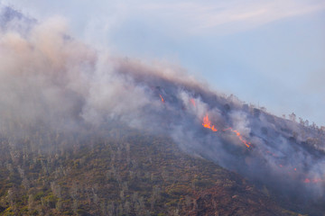 Dramatic wildfire with gale force winds on Lion's Head Mountain, Cape Town.
