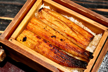 Fototapeta na wymiar Japanese traditional food, Delicious charcoal grilled unagi eel with sweet sauce, Healthy raw diet meal.