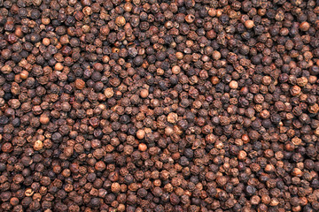 Black pepper grains as background close up