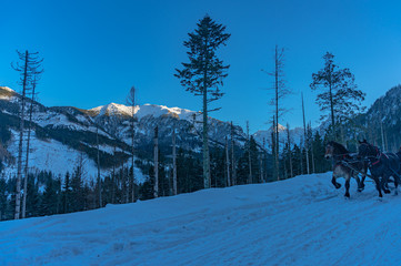 Fototapeta premium Winter in rocky mountains