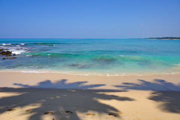 The shadow of coconut palms and the Idian Ocean from the pristine sandy beach. The beaches of Sri Lanka (such as Hikkaduwa, Mirissa, Unawatuna) are beautiful at any time of the year. Coconut beach.