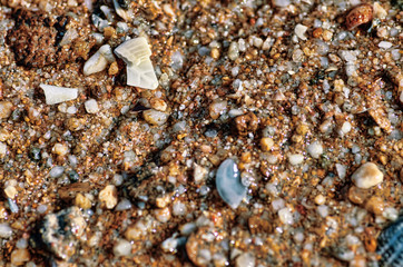 pebbles on the beach