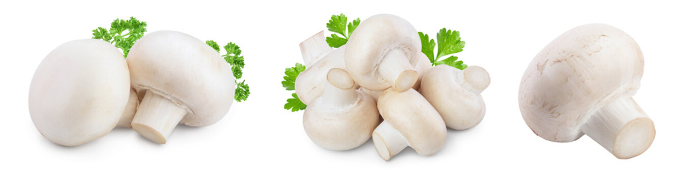 Fresh mushrooms champignon isolated on white background with clipping path and full depth of field. Set or collection