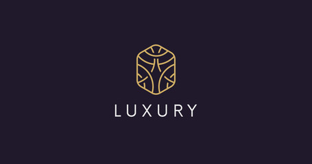 Simple geometric ornament logo sign vector design. Elegant linear hexagon logotype.