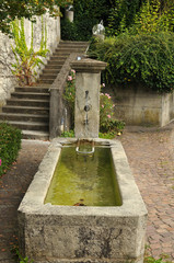 Fototapeta premium ancienne fontaine en pierre dans le village - Suisse