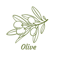 Olive branch tree isolated leaf. Olive food green branch plant illustration.