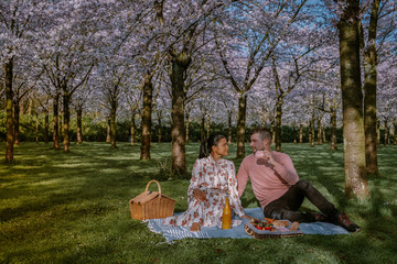 Couple picnic in the park during Spring in Amsterdam Netherlands, blooming cherry blossom tree in...