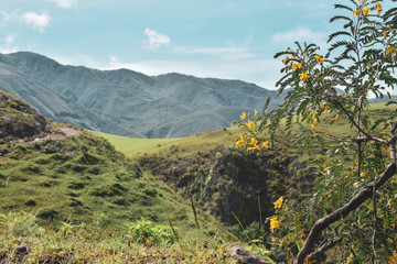 Green Landscapes in Argentina, or Ireland?