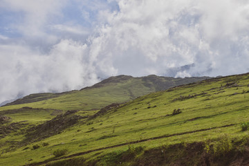 Obraz premium Green Landscapes in Argentina, or Ireland?