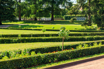 Formal garden in Catherine Park in Tsarskoye Selo, Pushkin, Russia