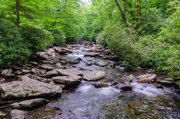 Beautiful waterfall somewhere in Great Smoky National Park USA