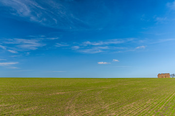 Obraz premium Blue sky with white clouds and green field