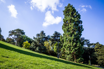 Buttes-Chaumont Park, Paris