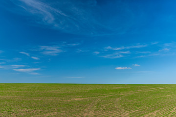 Blue sky with white clouds and green field