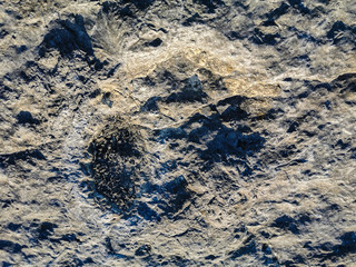 Natural monument of fossil dinosaur footprints in Serra D 'Aire in Pedreira do Galinha, in Portugal. A pedagogical circuit was created at the site, where visitors can see and touch the footprints