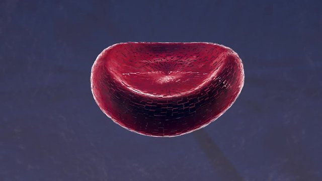 Red blood cell animation. Fractured object with blue inner light merges into a red blood cell.