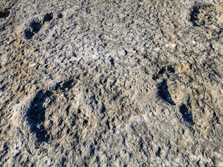 Natural monument of fossil dinosaur footprints in Serra D 'Aire in Pedreira do Galinha, in Portugal. A pedagogical circuit was created at the site, where visitors can see and touch the footprints