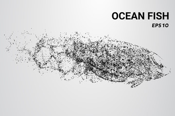Fototapeta na wymiar Ocean fish from the particles. Ocean fish consists of circles and dots. Ocean fish break up into molecules.