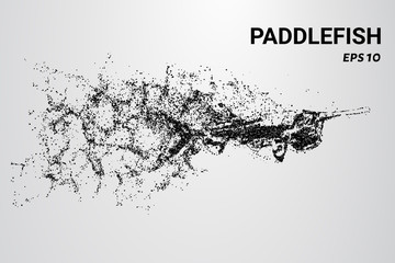 Naklejka na ściany i meble Paddlefish from the particles. Paddlefish consists of circles and dots. Paddlefish splits into molecules.