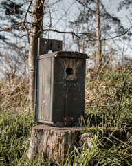 old wooden birdhouse on tree